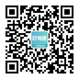 好宠医