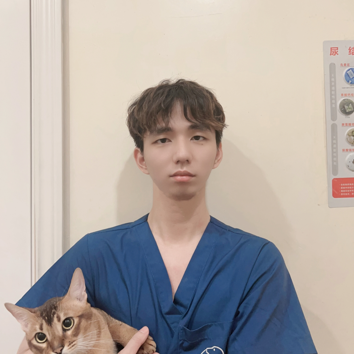 马佳丹