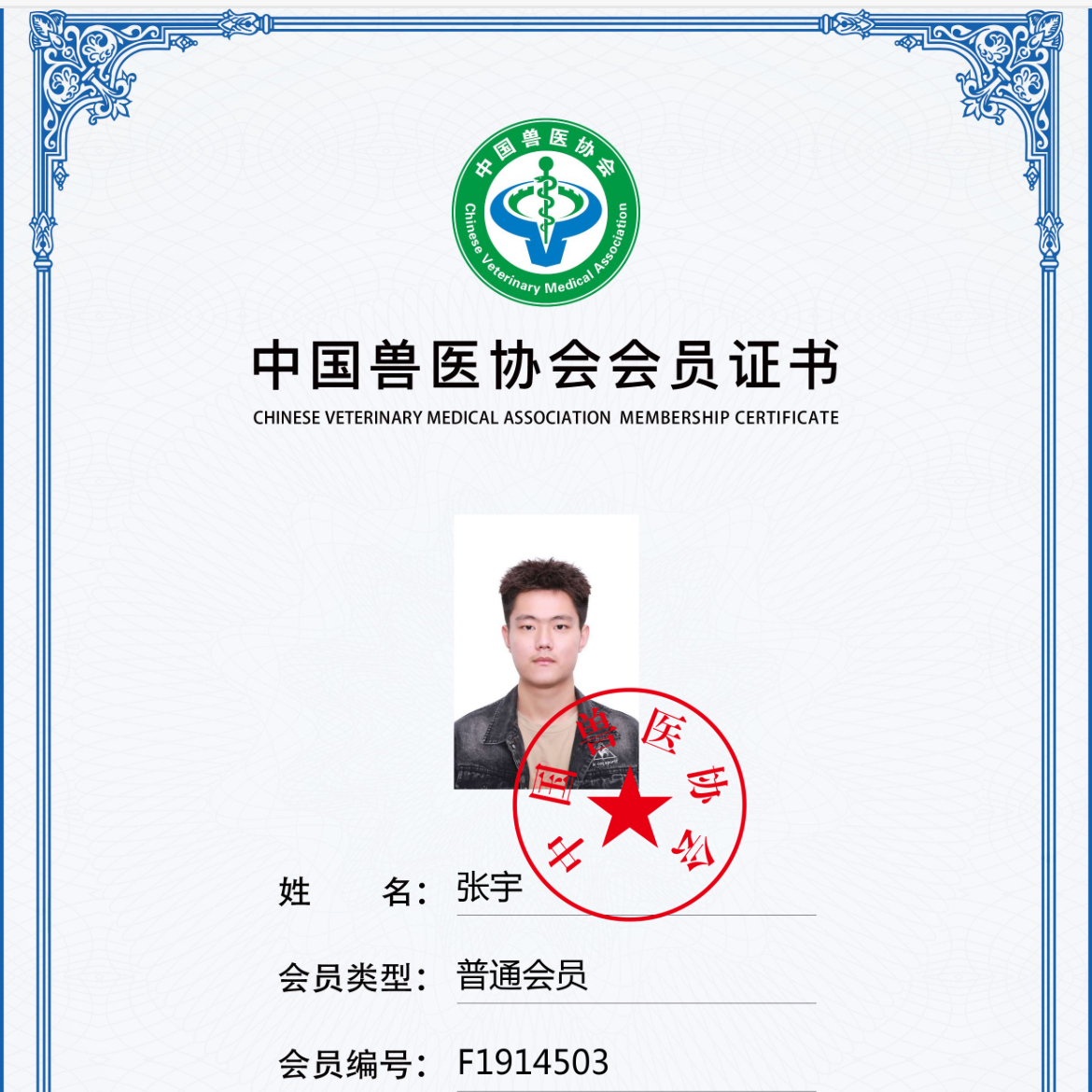 张宇