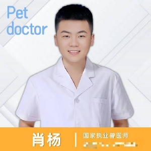 肖杨