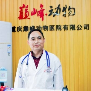范武