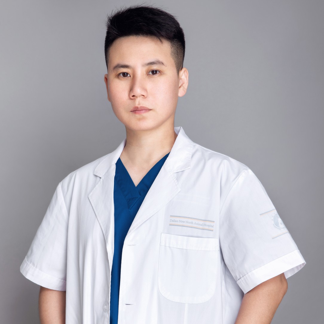 王娜